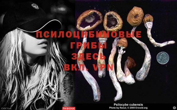 а пвп мука Алзамай