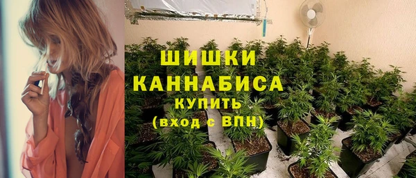 шишки Алексеевка