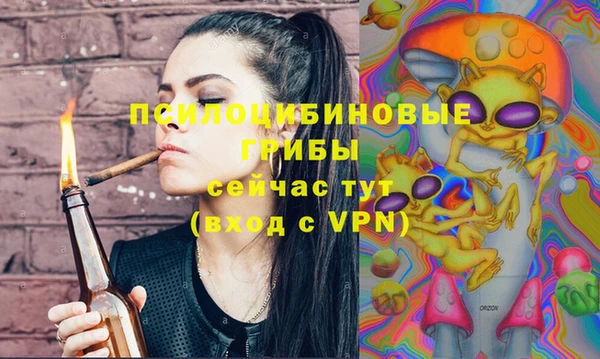а пвп мука Алзамай