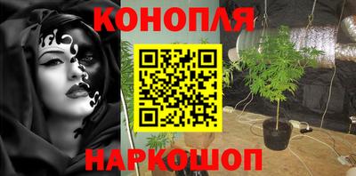 герыч Бийск