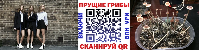 Галлюциногенные грибы прущие грибы  Батайск 