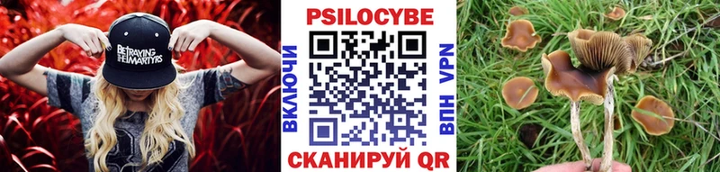 Псилоцибиновые грибы мухоморы Батайск